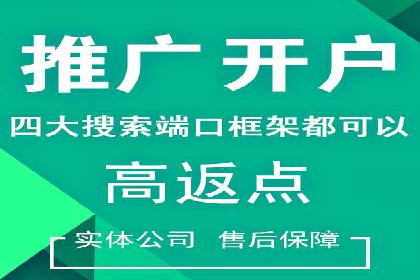 sem代运营公司案例解析：如何制定有效的广告策略